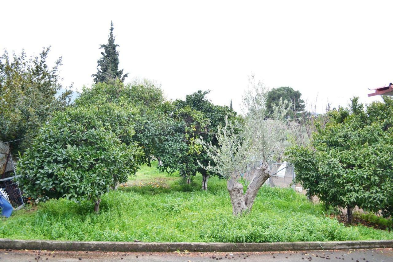 Villa Bella Loukisia Loukissia Exteriör bild